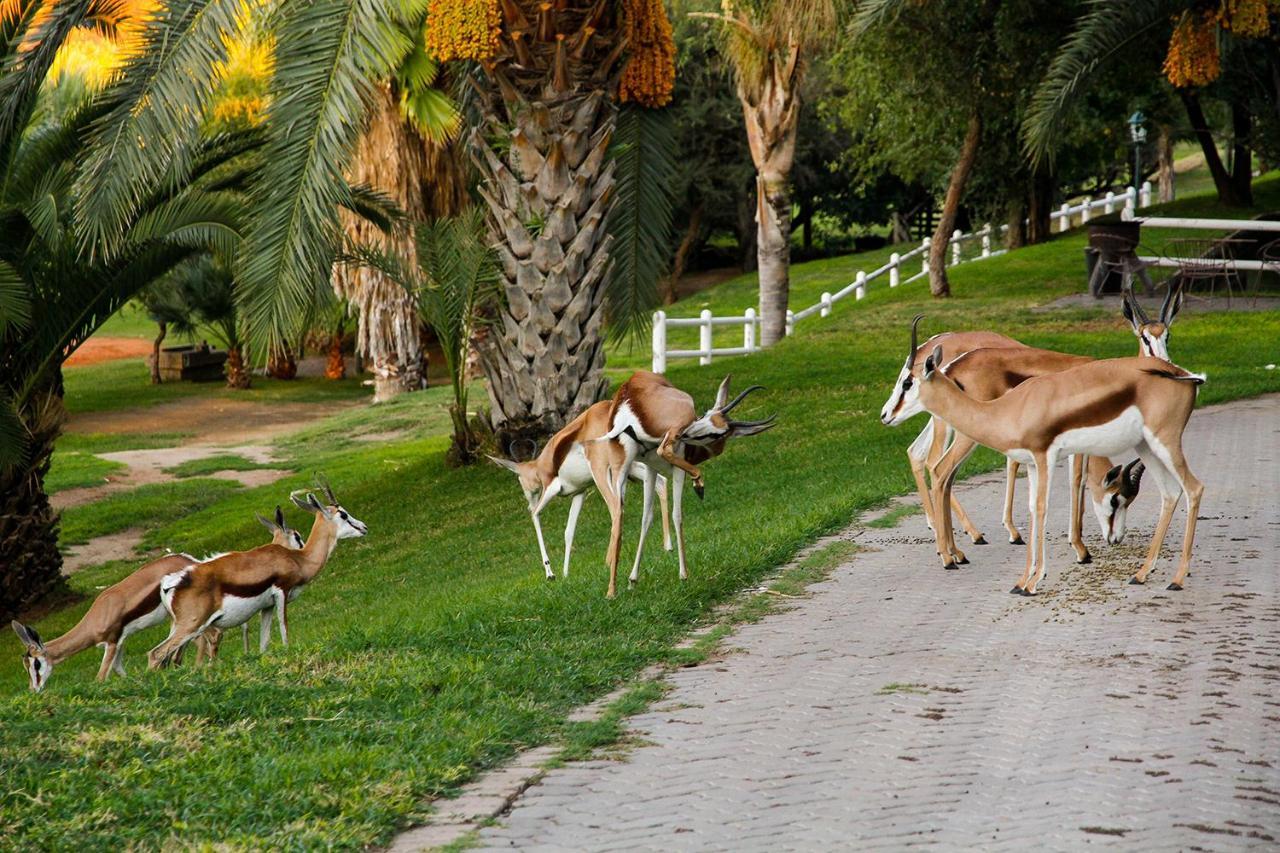 Ikaia River Lodge Keimoes Екстер'єр фото